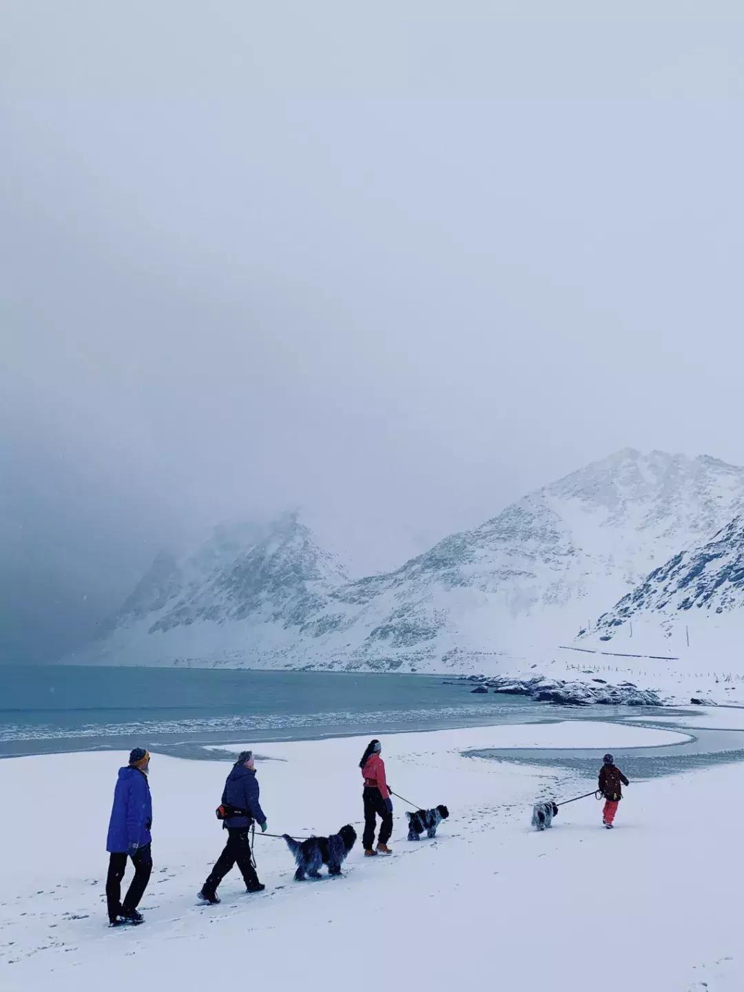 iphone13相机最佳设置,iphone12pro相机设置