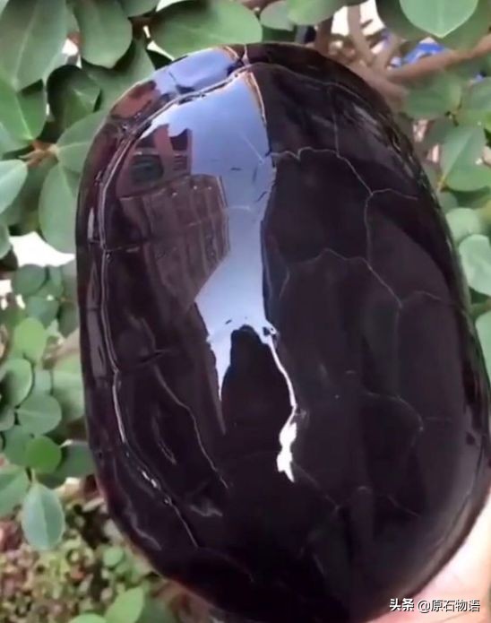 文玩要盘得好包浆请远离四大克星,盘龟壳会玉化包浆后效果视频