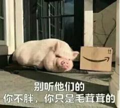 科学表明体毛真的会越刮越少吗,身上的体毛会越刮越多吗