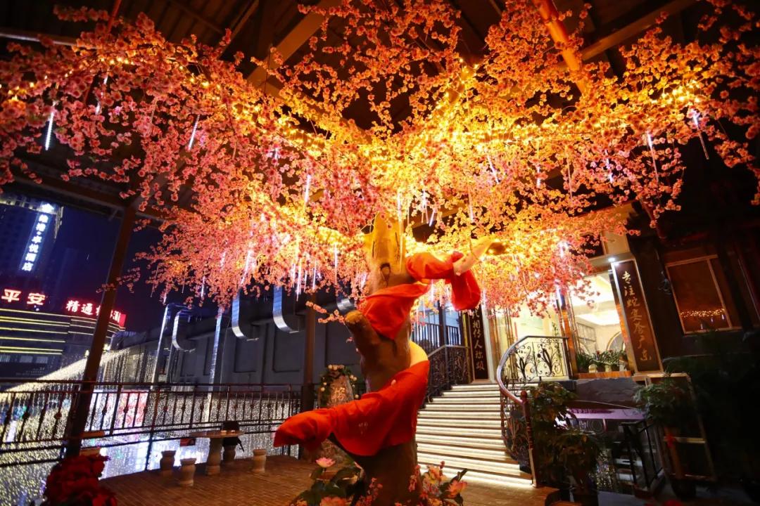 蒋平个人视频,蒋平感悟人生