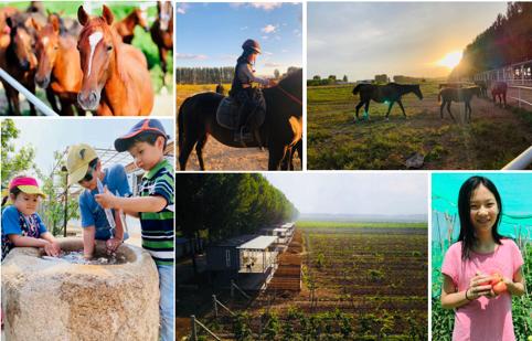 带儿子首探“北京消费季之亲子节”开启活动，居然玩到不想回家
