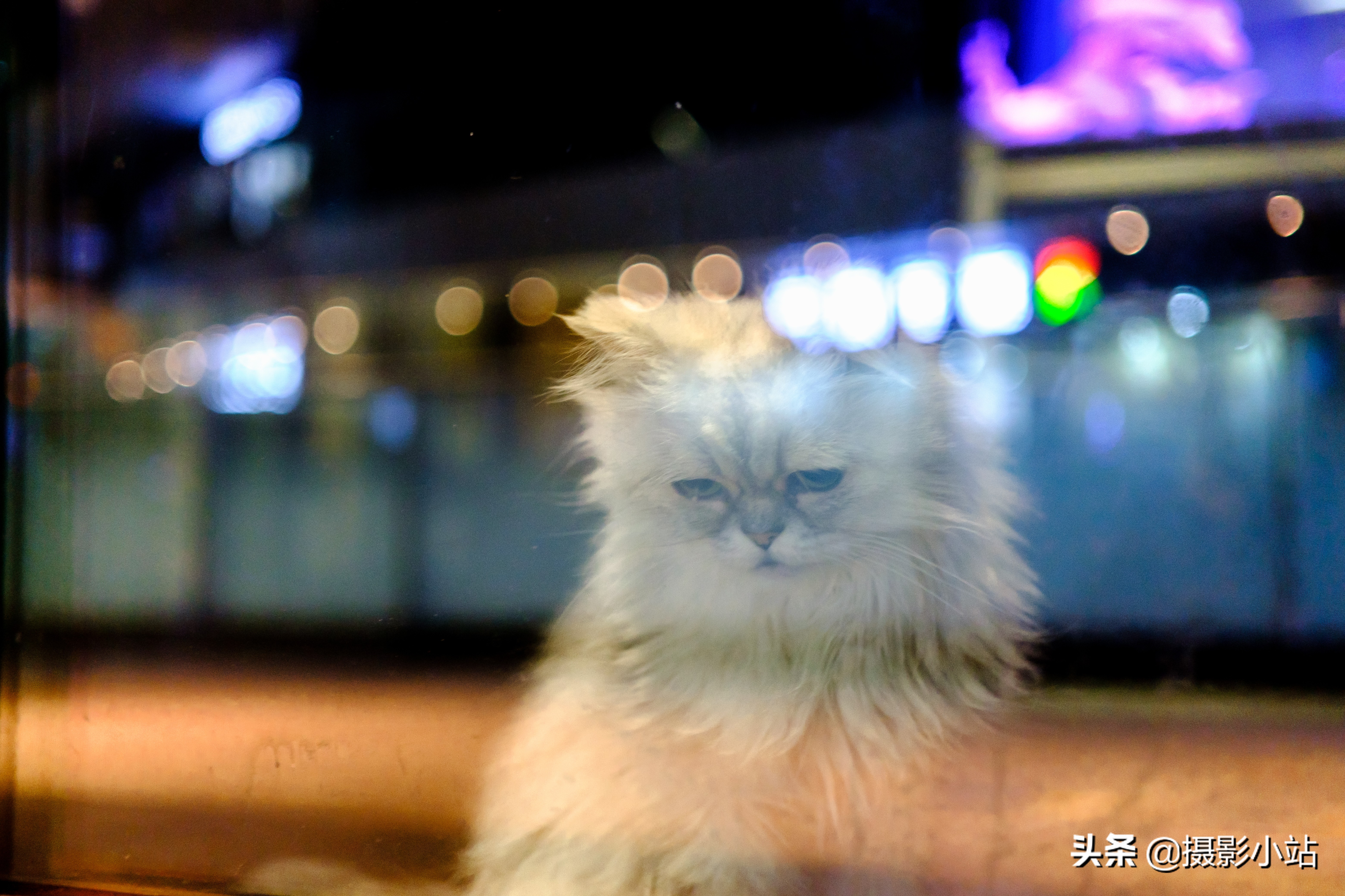 文艺青年选富士,文艺青年相机推荐哪款