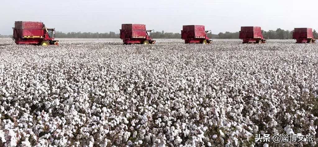 多家国产品牌发声,国货品牌支持新疆棉