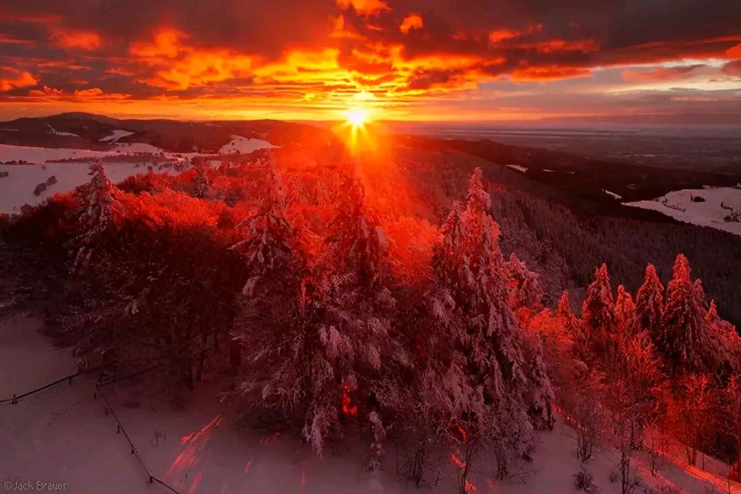 联想记忆的练习与应用,联想法记忆作业