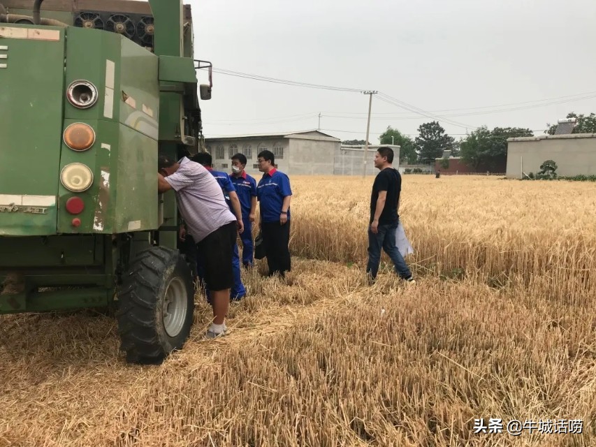 【百日攻坚创效】中石化邢台任县分公司“三夏”支农惠农受美赞