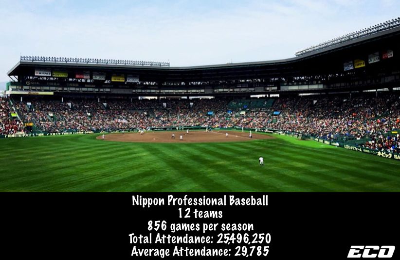 全美排名第一橄榄球队,nba橄榄球打的最好的