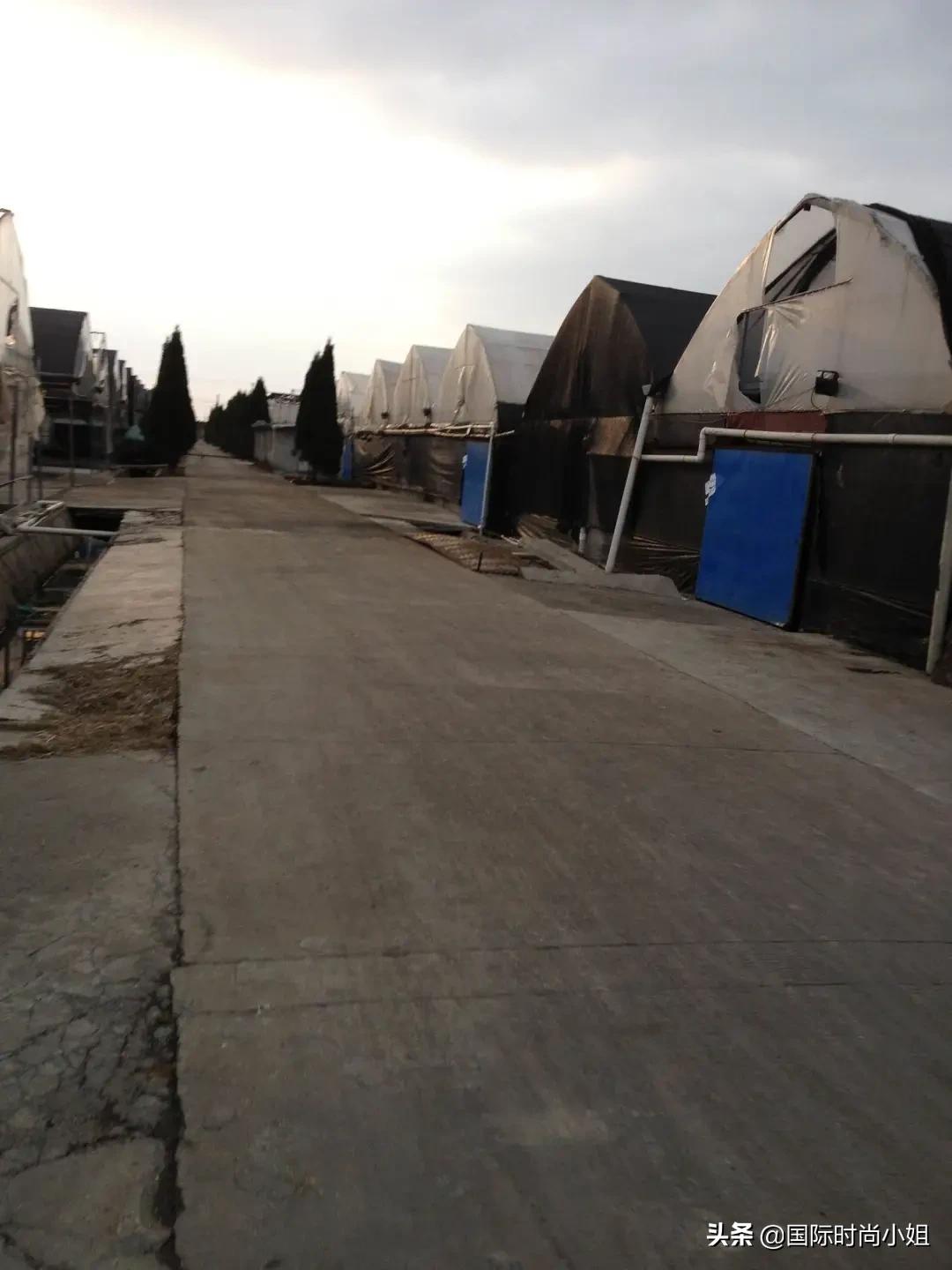 老纪是个什么人物,一个历史上的传奇人物