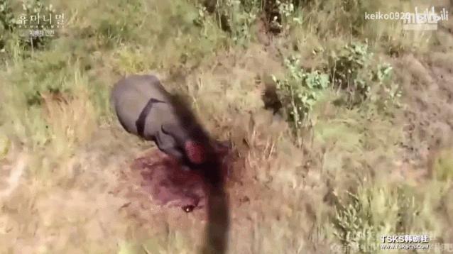 15岁怀孕,她被骗吃下*药炸**,一尸两命:有些人,这辈子不配为人