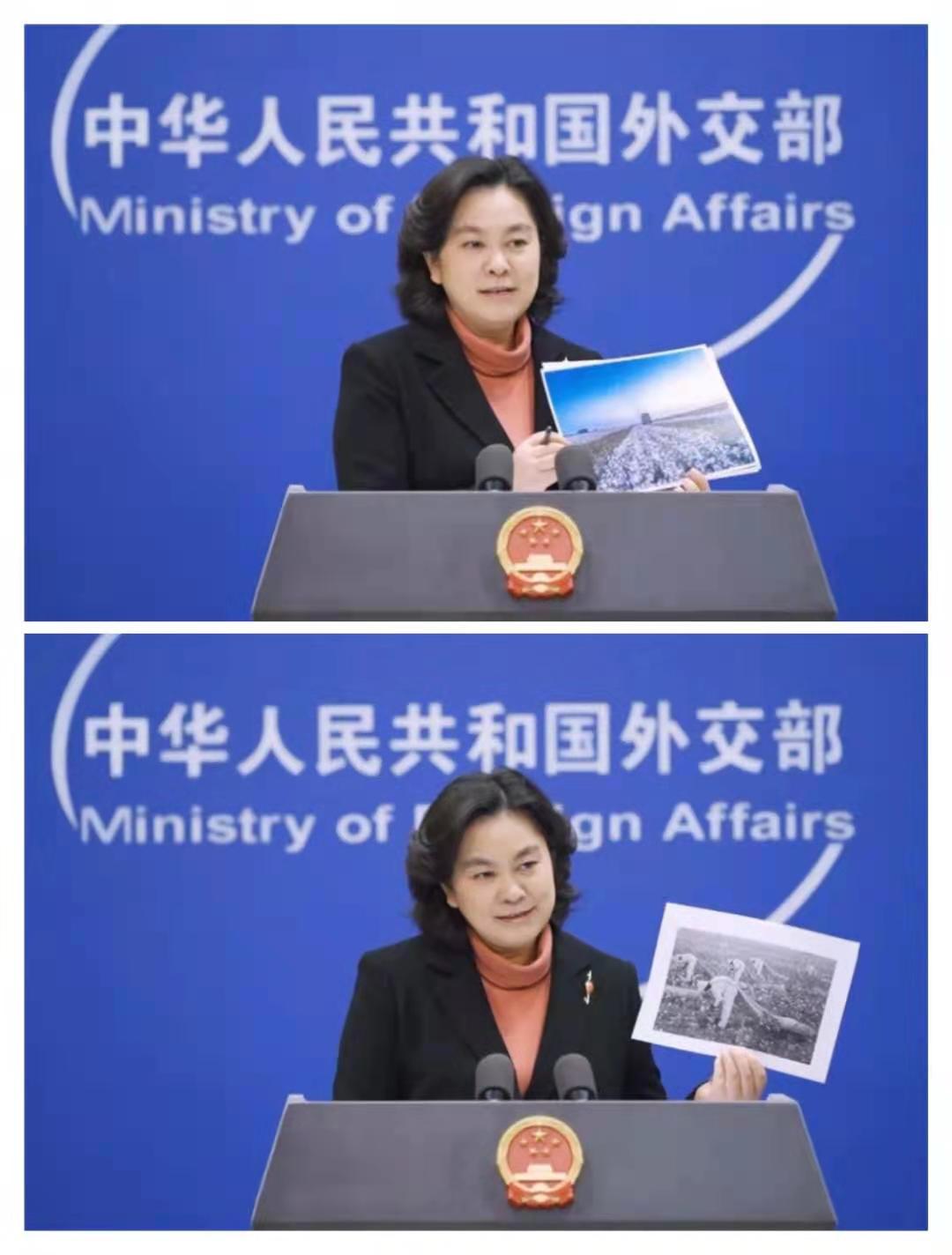 华春莹：*京大南**学的“迎春花”在外交部盛开，怒斥欧美，女中豪杰