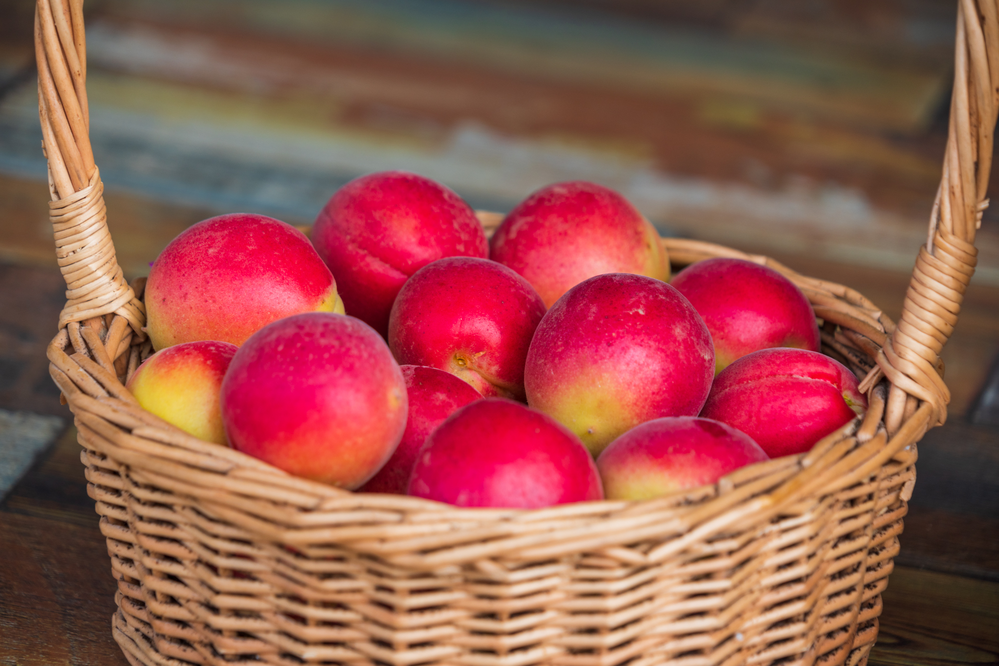 今年618不宅家，不剁手，我去巨鹿过杏节