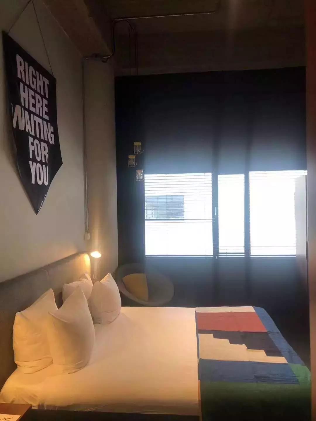 名师探访——风中国度的自由之花，荷兰阿姆斯特丹大学