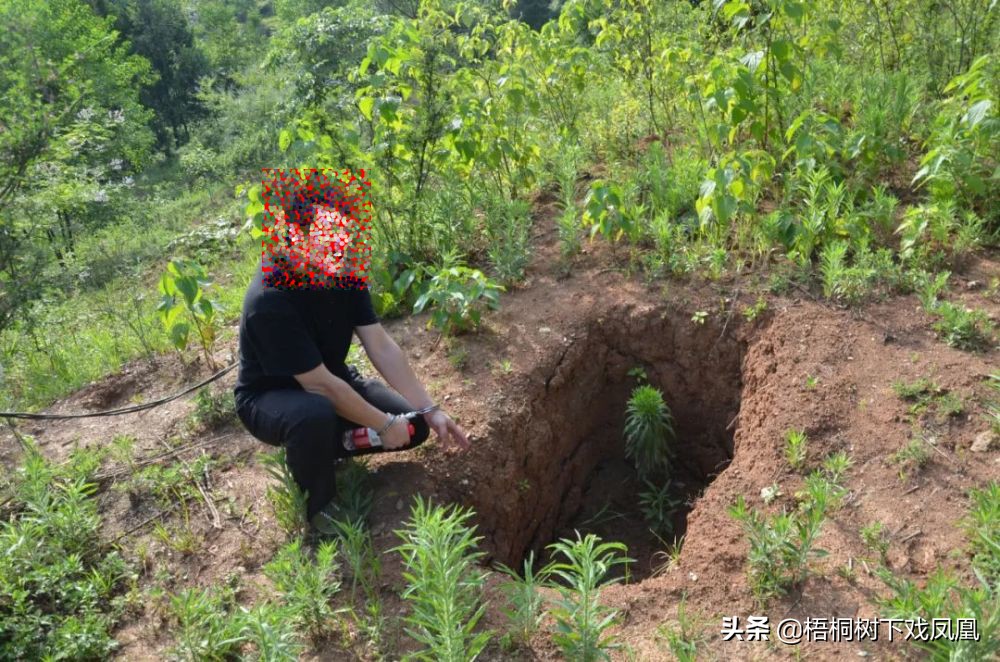 邀请去山东盗墓，“保底赚10万”，一网友动心了，见面后不敢干了