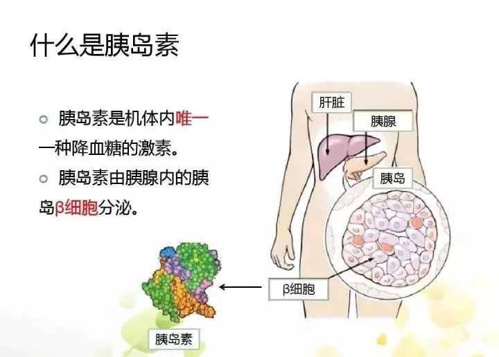 早餐减肥能喝粥吗,减肥早餐食谱教你如何科学吃早餐