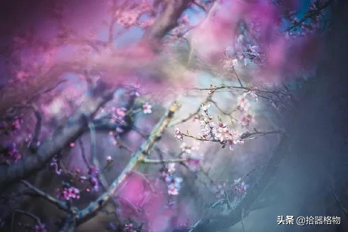 自在生活追寻惬意,舒心雅致生活