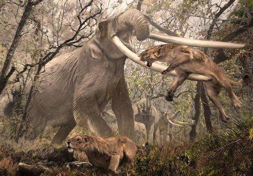 曾经位居食物链顶端,冰河时代过去后,却被活活饿死