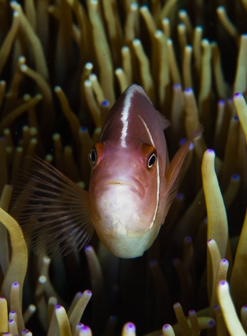海底你不知道的东西,海底世界东海龙宫