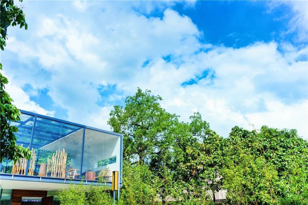 这5家海景民宿躺在床上就能看海,极有格调的纯白泳池民宿