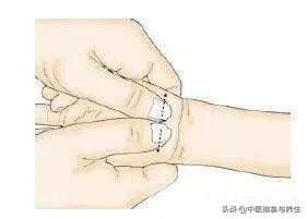 小儿推拿零基础如何入门,小儿推拿怎么正规学习