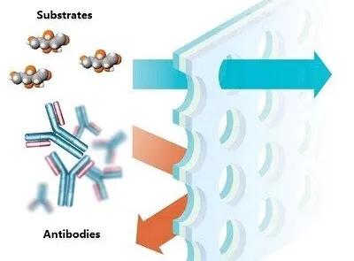 猩红热和麻疹的皮疹区别,麻疹与猩红热的主要鉴别表格