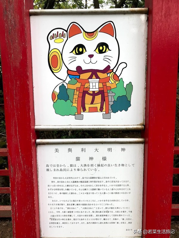 猫奴们都想去的圣地日本的猫岛,日本猫岛猫咪