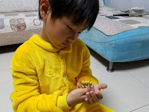 酷虫学校适合小学生看吗,酷虫学校漫画适合孩子吗