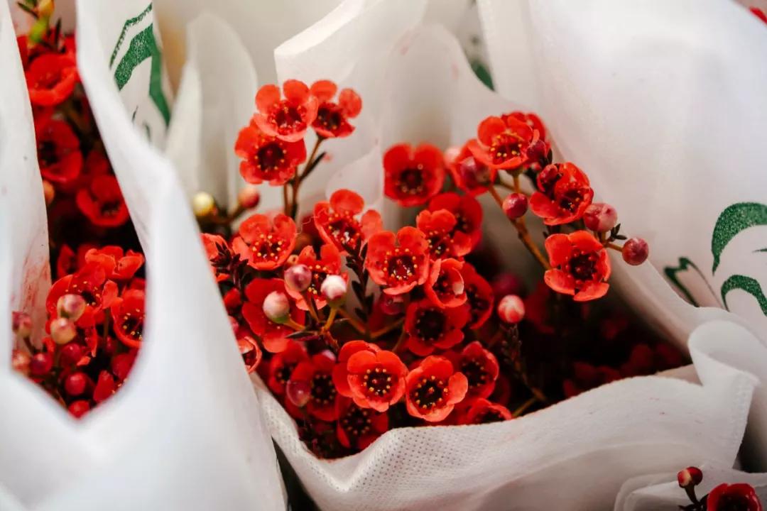 汉中门花市,汉中门花市价格