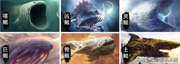 战双帕弥什刚开服,战双帕弥什开服时给了多少黑卡