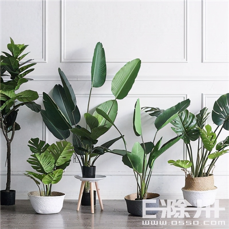 室内装修用光触媒除甲醛有用吗,哪个牌子光触媒新房除甲醛好