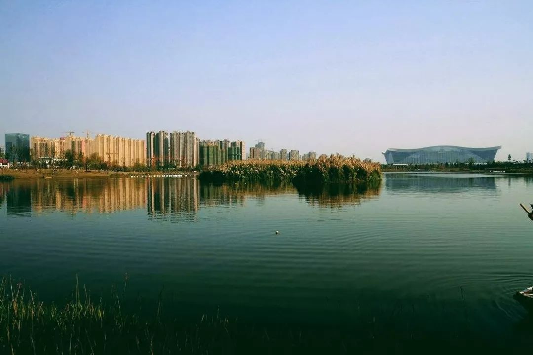 住在南门的人，收藏夹里藏了啥