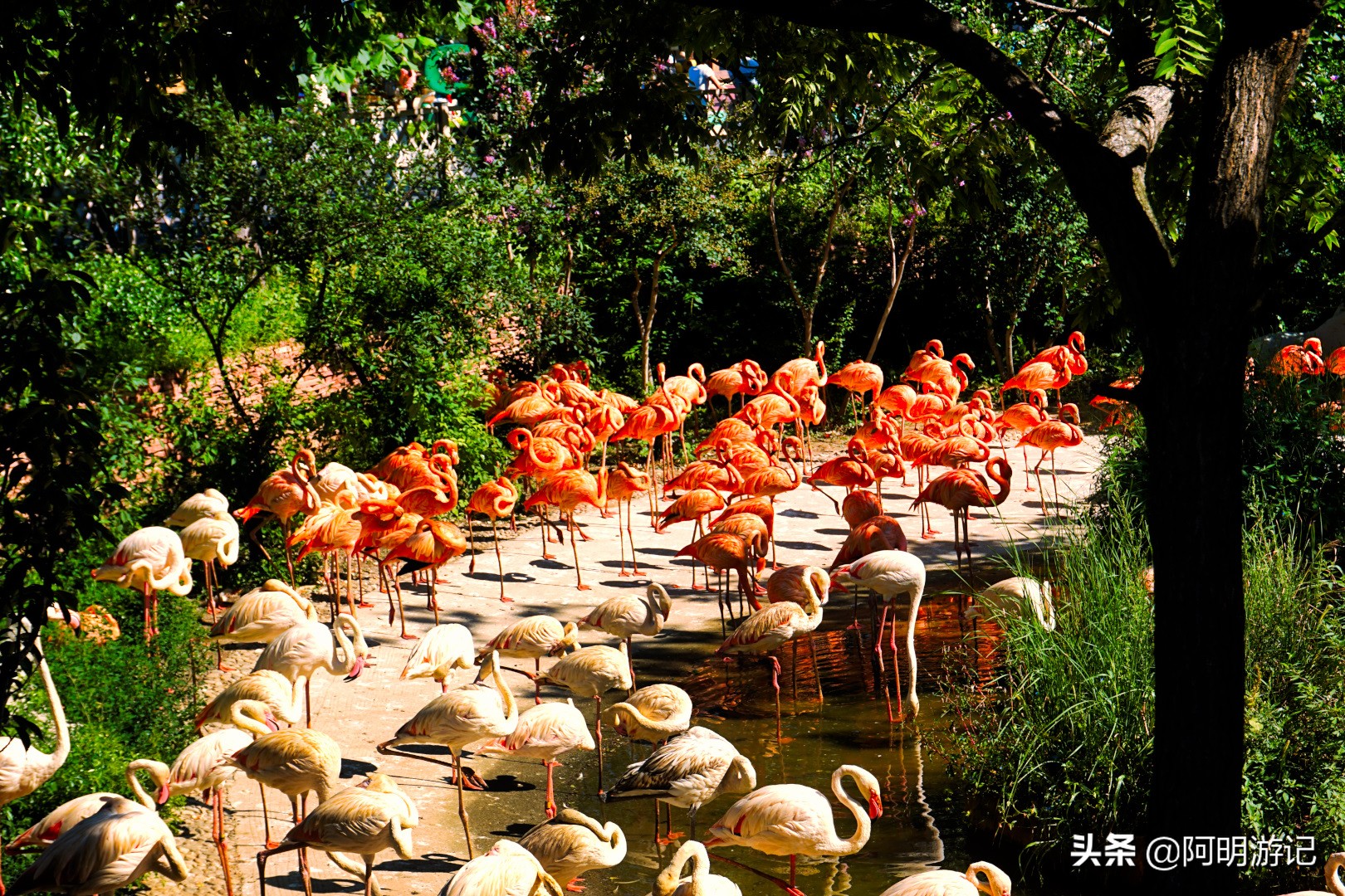 大连旅游景区推荐一下,大连哪些旅游景区值得去旅游