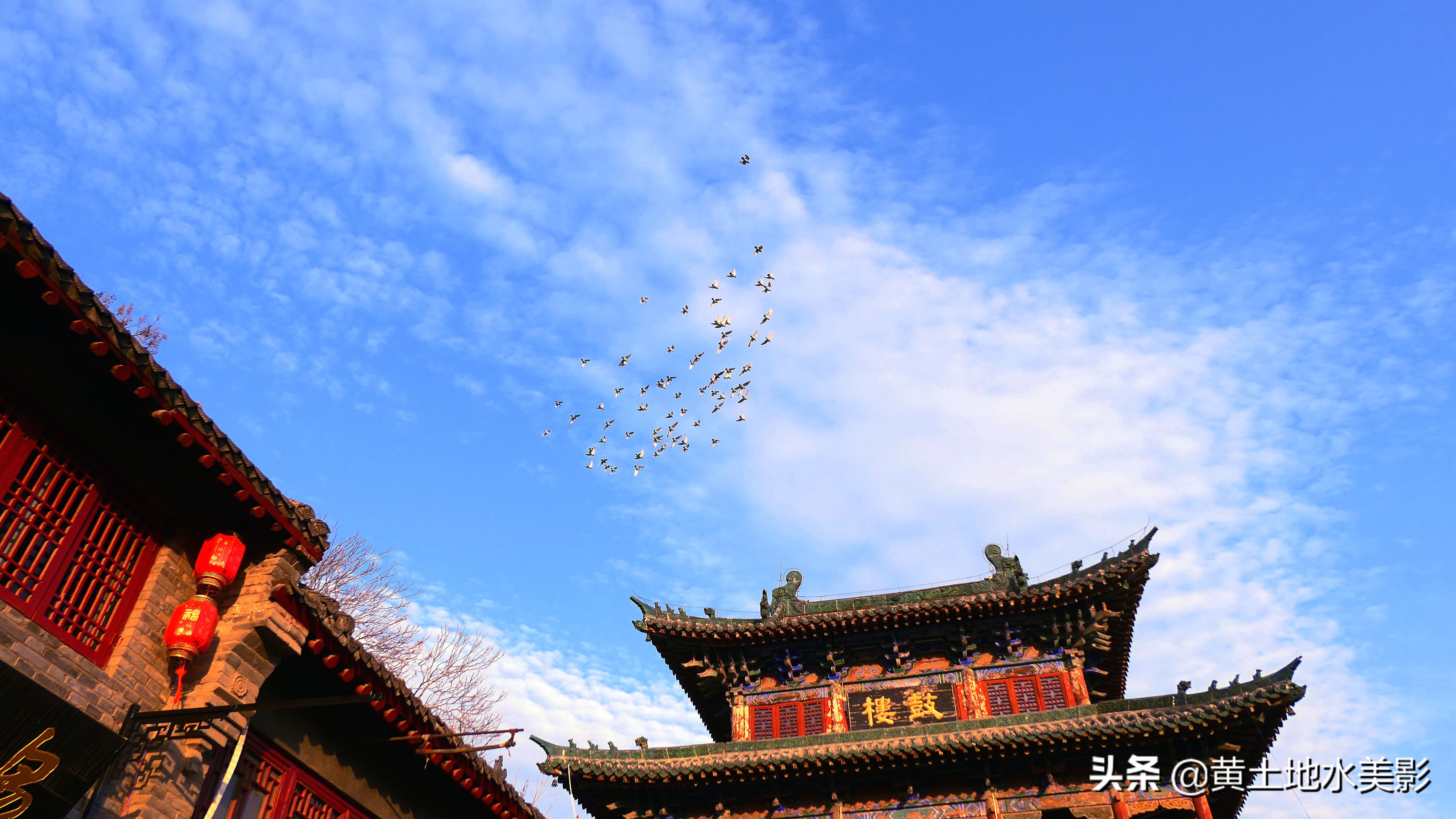 一群鸽子绕鼓楼盘旋,一家老外吃在洛阳,漫步在洛阳老城的街上