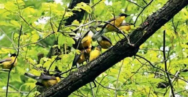 璇楃敾鍙ら晣姘村ⅷ涓婃渤,姘村ⅷ涓婃渤璇楃敾灏忛晣濠烘簮