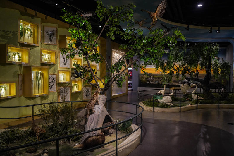 山东周边游2天1夜小众,5.1山东五日游