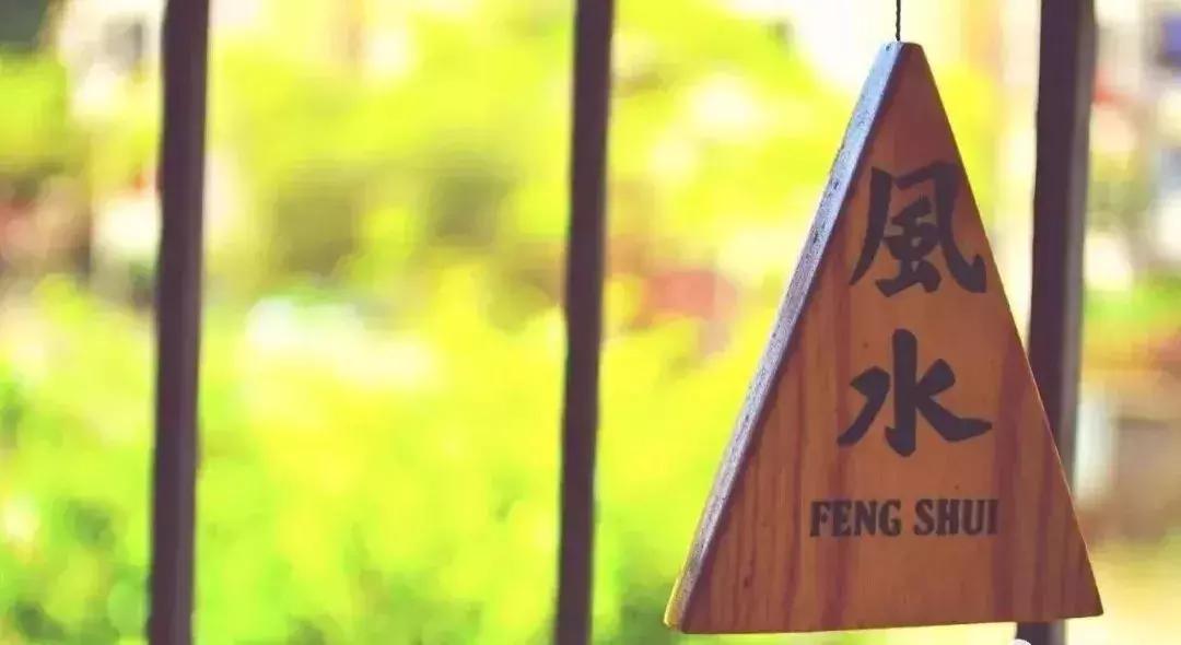 庭院藤蔓植物,庭院爬藤植物