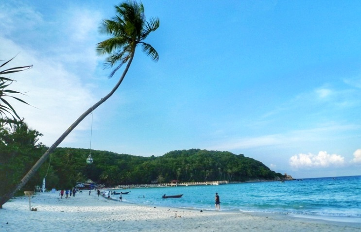 科莫多巨蜥马来西亚,马来西亚一个岛上有巨蜥