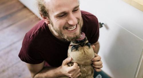 狗狗为什么喜欢舔主人屁股,狗狗为什么喜欢舔肚子呢