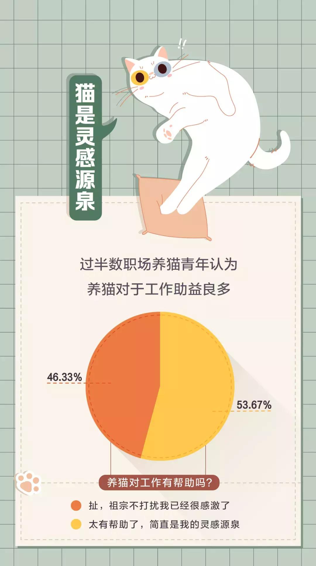 老板比猫还难搞定?最新职场青年吸猫不完全调查出炉