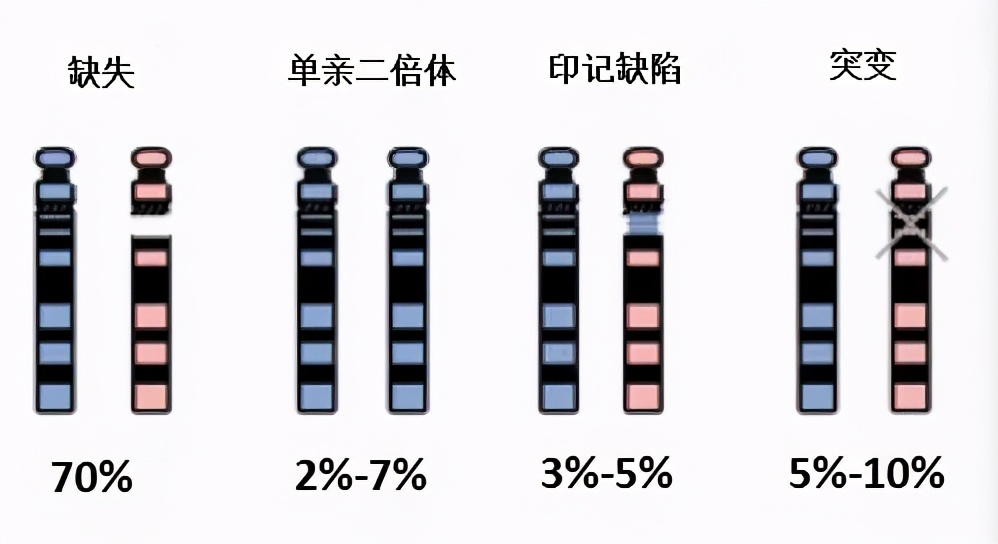 基因缺失有何影响,天使综合征基因治疗方法