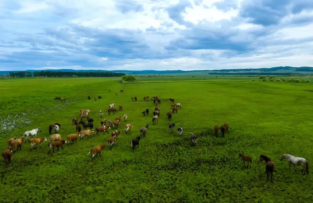 夏季黑河旅游攻略,夏季黑河旅游