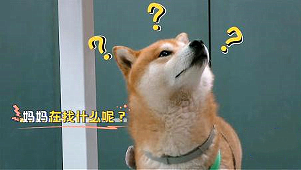 郑爽怕狗狗咬自己，竟要把狗狗牙齿磨平，这是无知还是天生冷漠？