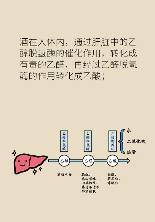 吃这七种药不能喝酒,吃靶向药意味什么