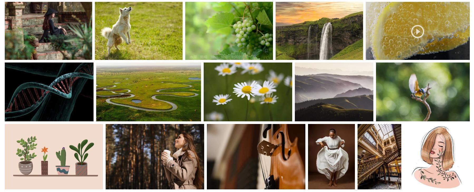 世界地图矢量图素材电子版,衣服矢量图素材网站