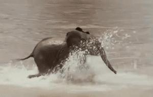 他们被杀之后，依然在爱你