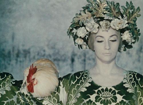 石榴的文化意蕴,石榴文化精神