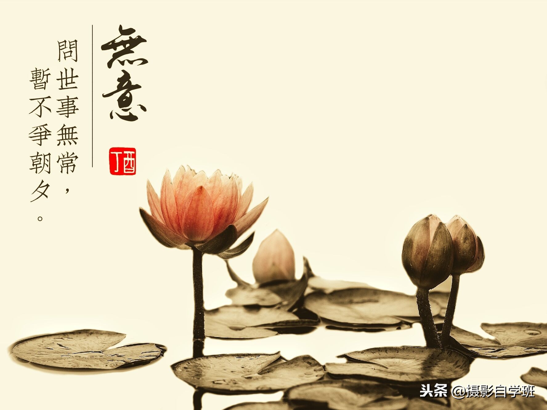 国画摄影照片,摄影怎么把图片弄成水墨画