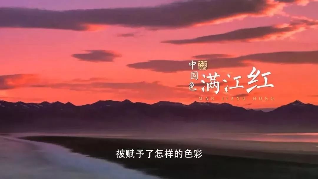 海棠花红叶子,海棠红褐色叶子