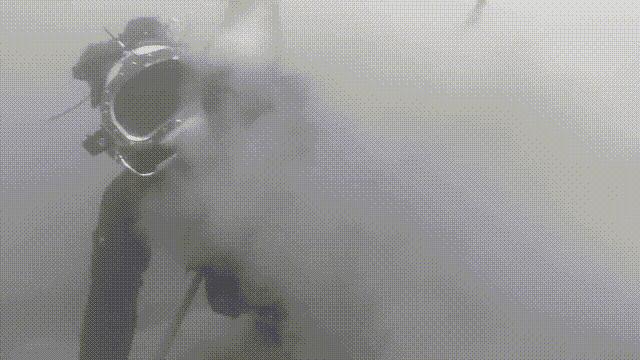 蚶蛤蛏蚬区别,蛤蜊蚶子蛏子区别