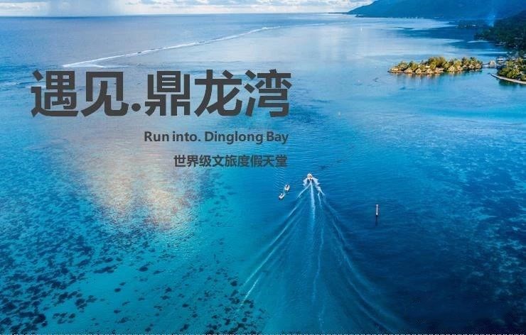 湛江鼎龙湾项目,湛江鼎龙湾项目怎么样