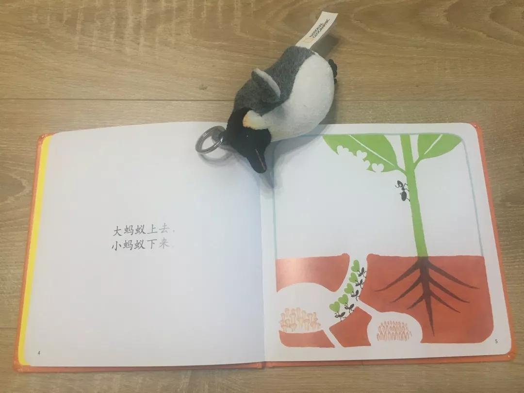 著名童书作家有哪些,国内优秀的童书作家