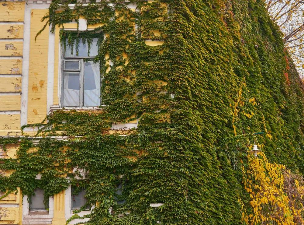 两个女生在合租房里吵架,男女之间过命的交情是什么意思